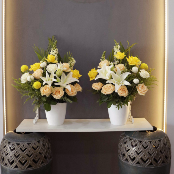 Flower Pot - Everlasting Pot (2pcs)